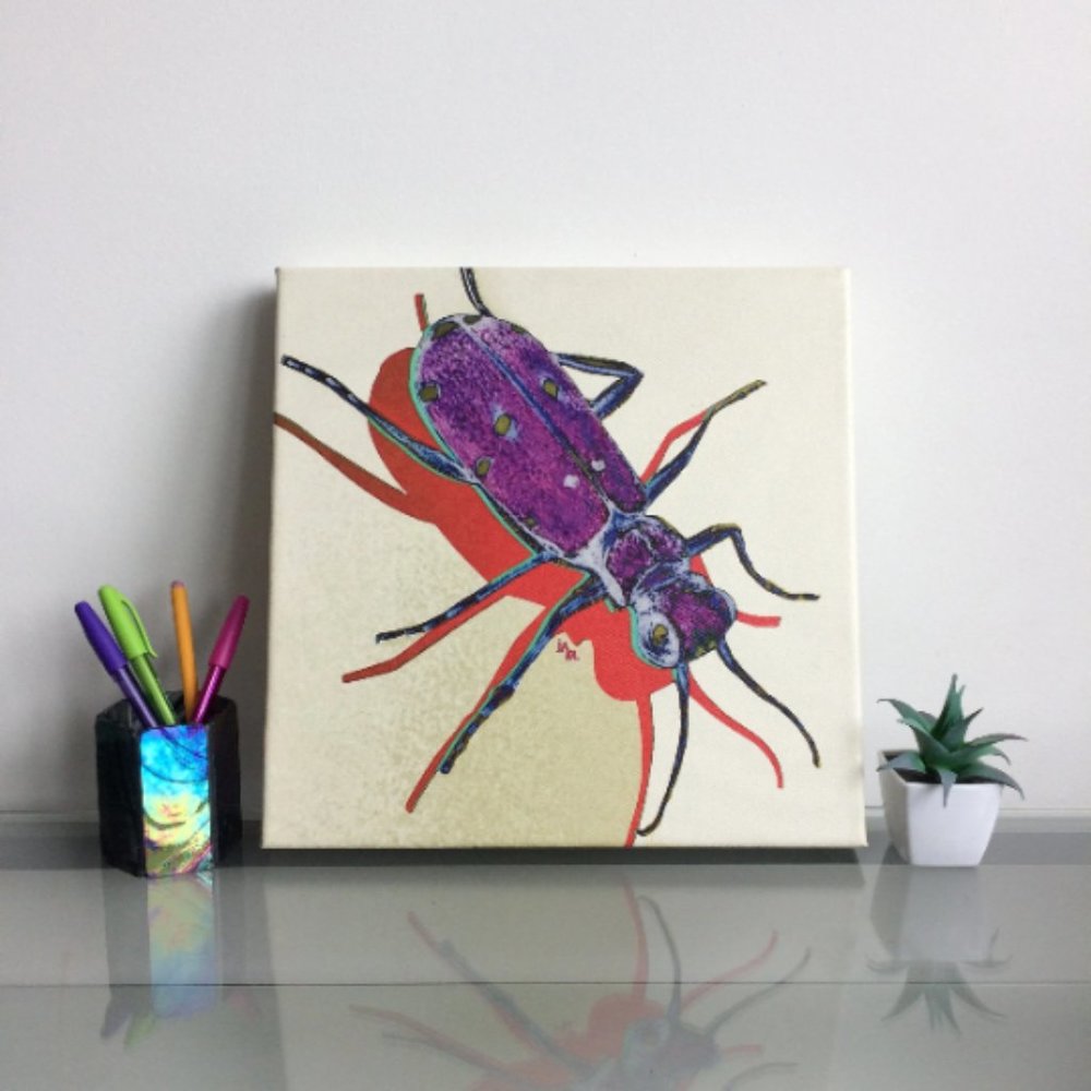 Tiger Beetle - Original Wall Art print on 12 x 12 canvas - Picture 1 of 6